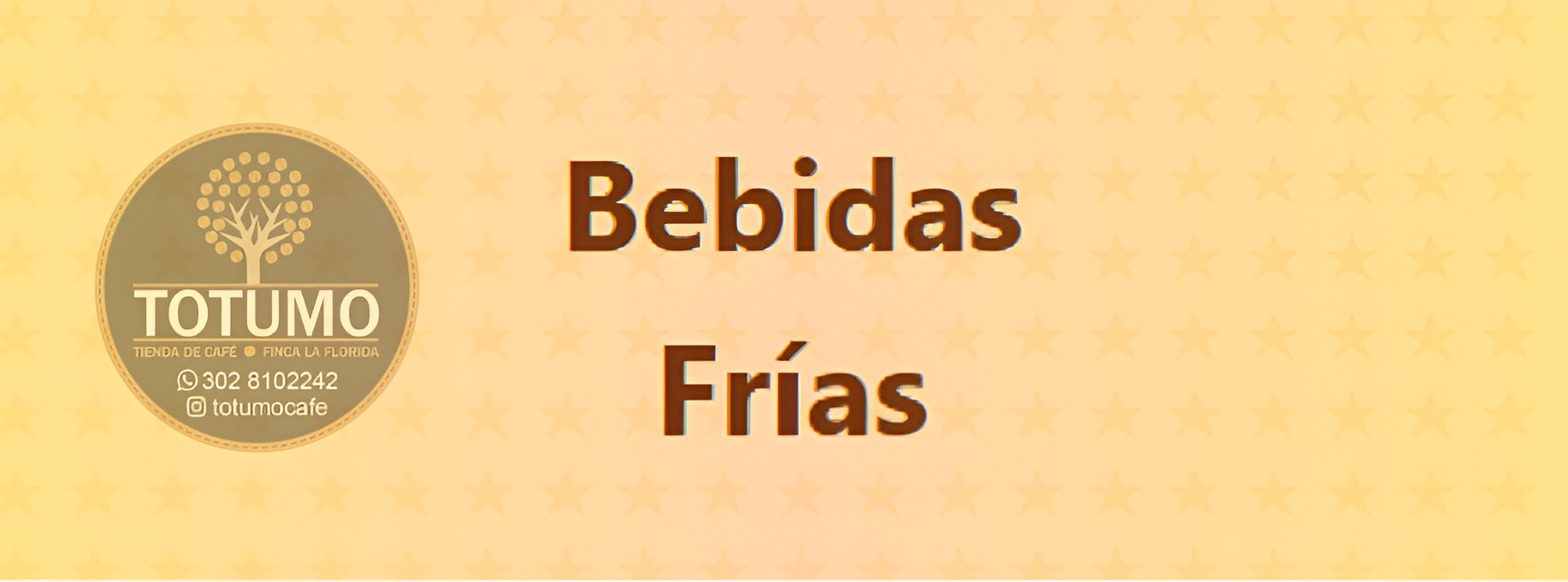 Bebidas Frías